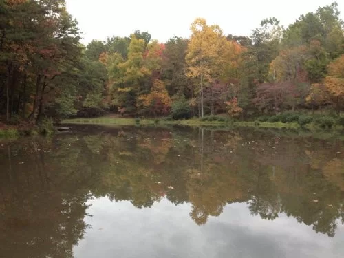 20 Acres in Hocking Hills property photo 1