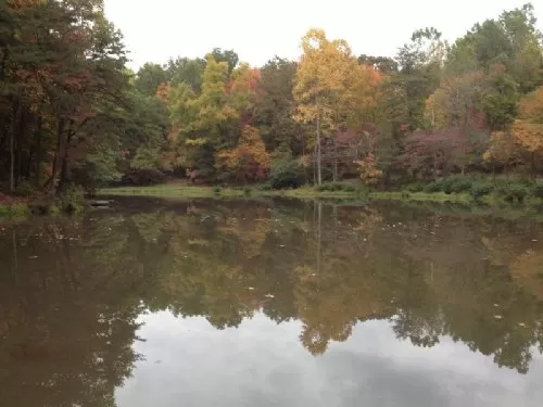 20 Acres in Hocking Hills