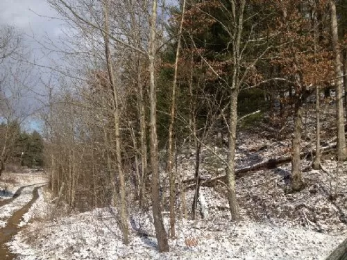 Off Dead End Road 42 Acres
