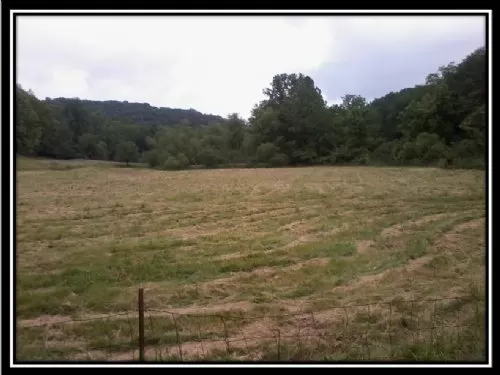 Buck Run
