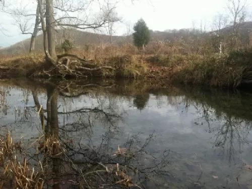 14.5 Acres On Dunlap Creek