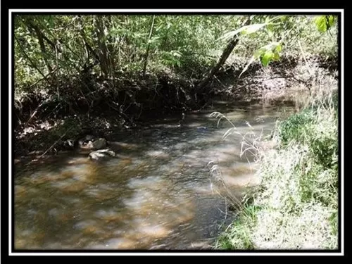 23.7 Acres On Ulery