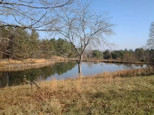 Baker Pond