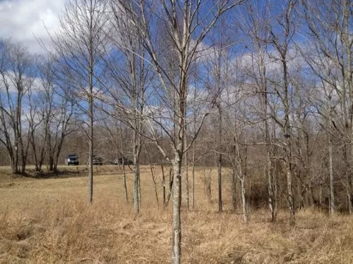 Lot 2, Dry Ridge
