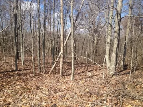 Lot 4, Dry Ridge
