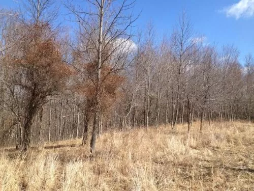 6.6 Ac Touch Wayne National Forest