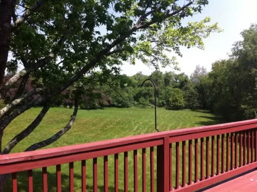 Kauffman Road