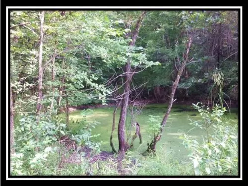 20 Acre Hunting Property