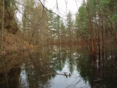 Pond Cabin Woods 18 Acres