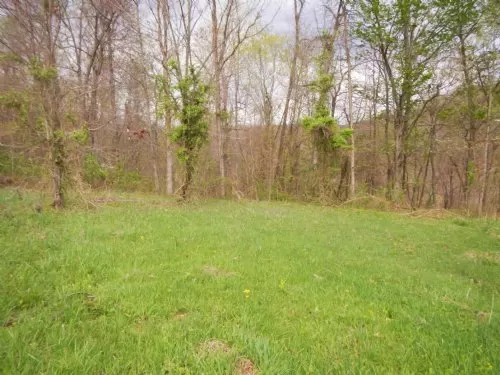20 Acres Meadow and Woods