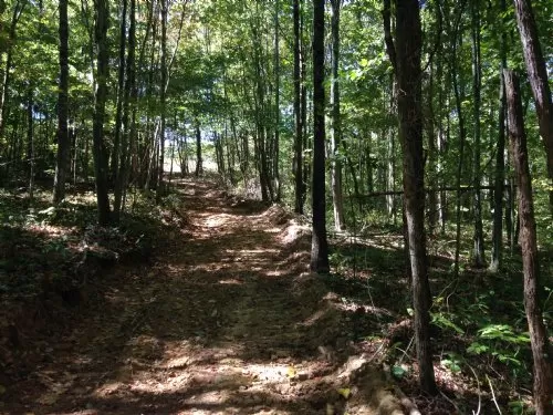 46 Acres Of Rolling Hills