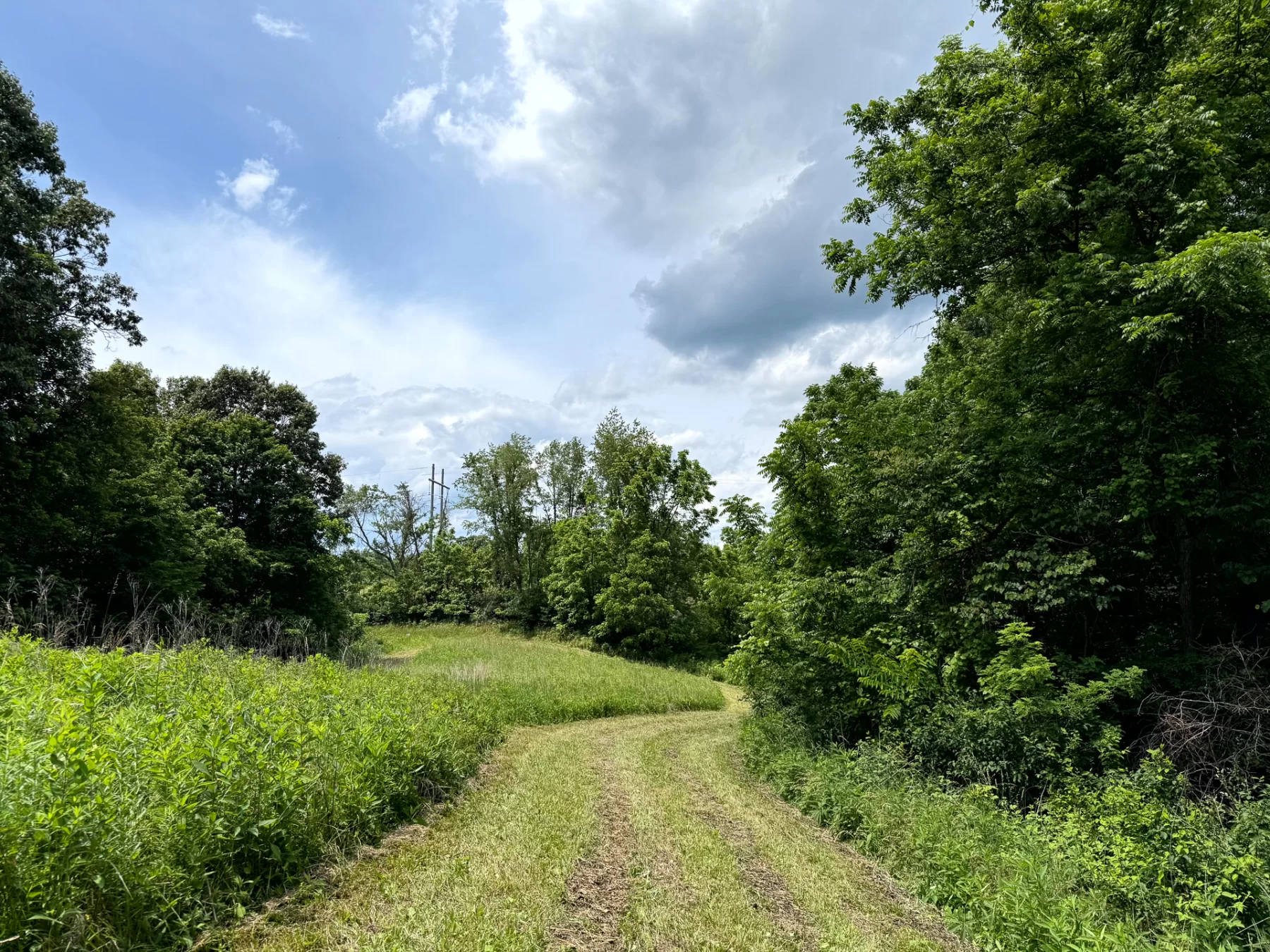 Tract 8 at Jackson Oaks property photo 3