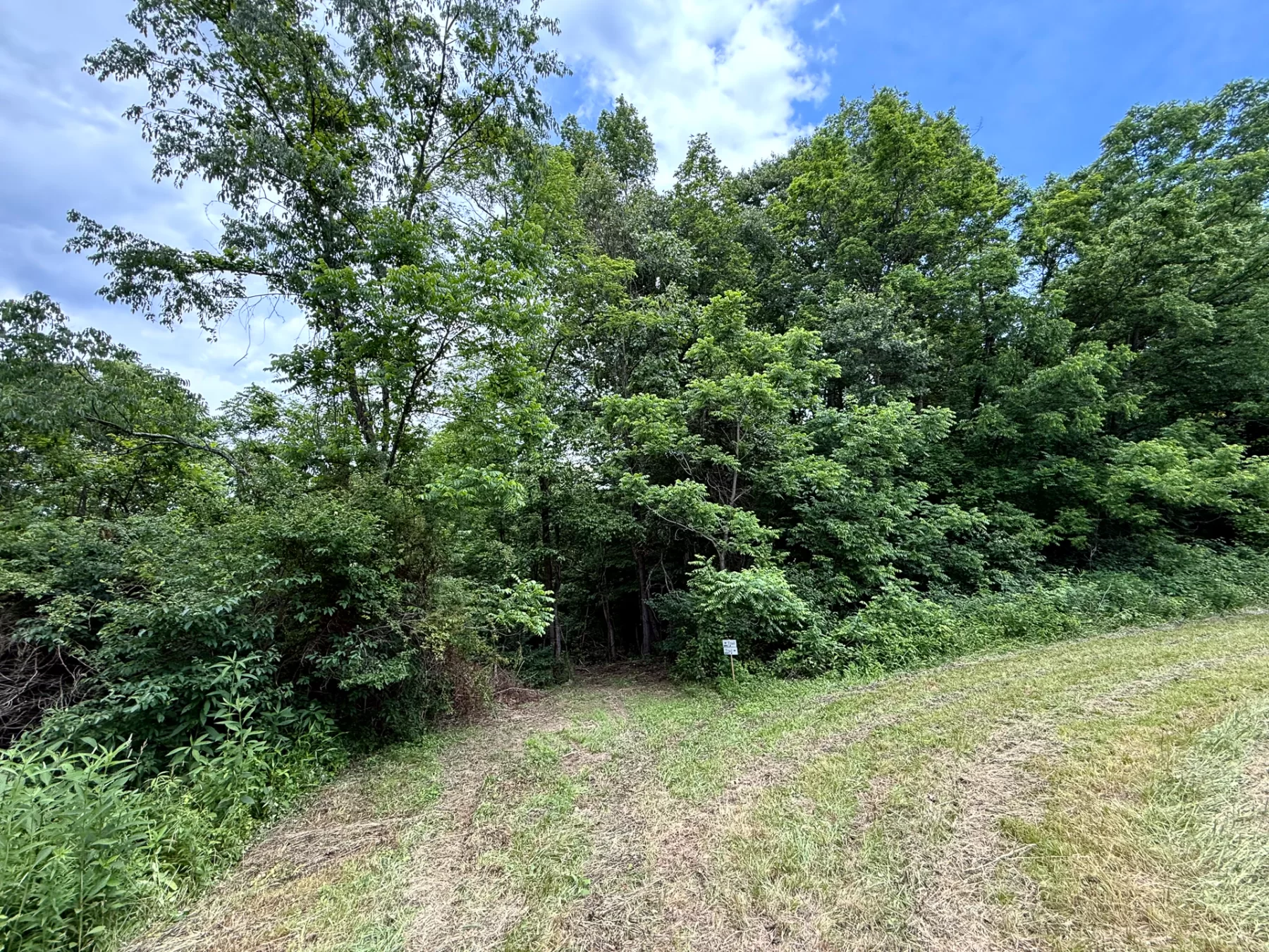 Tract 8 at Jackson Oaks property photo 10