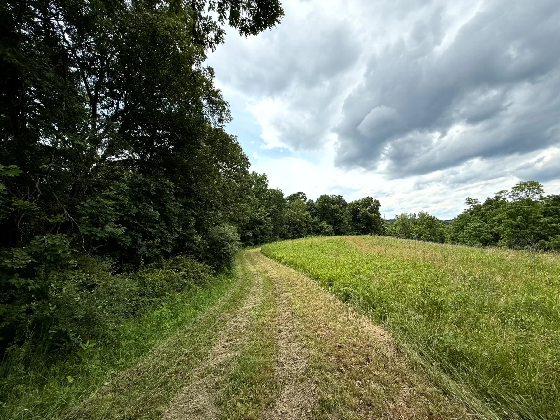 Tract 8 at Jackson Oaks property photo 13