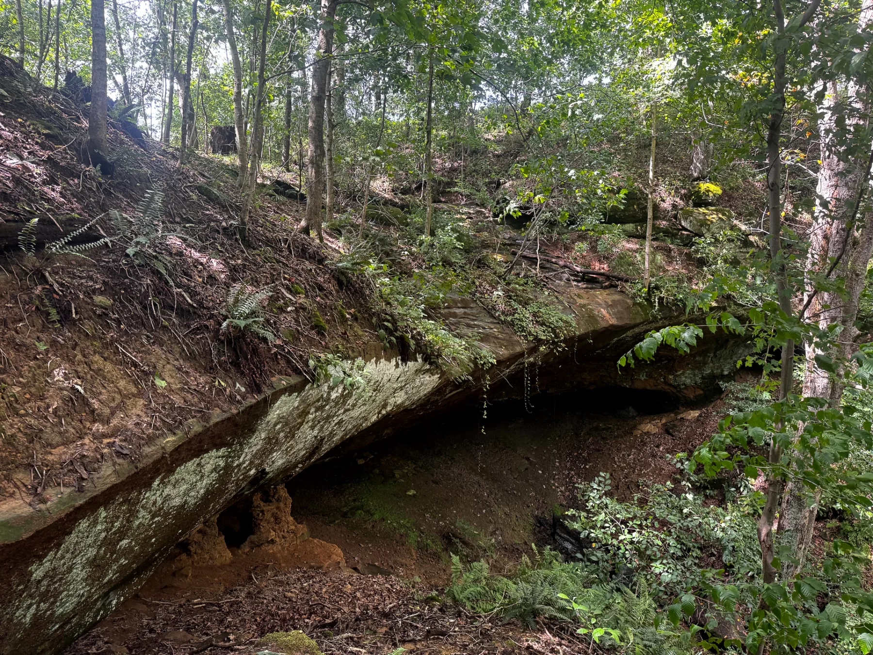 Tract 5 - Millstone Caves property photo 6