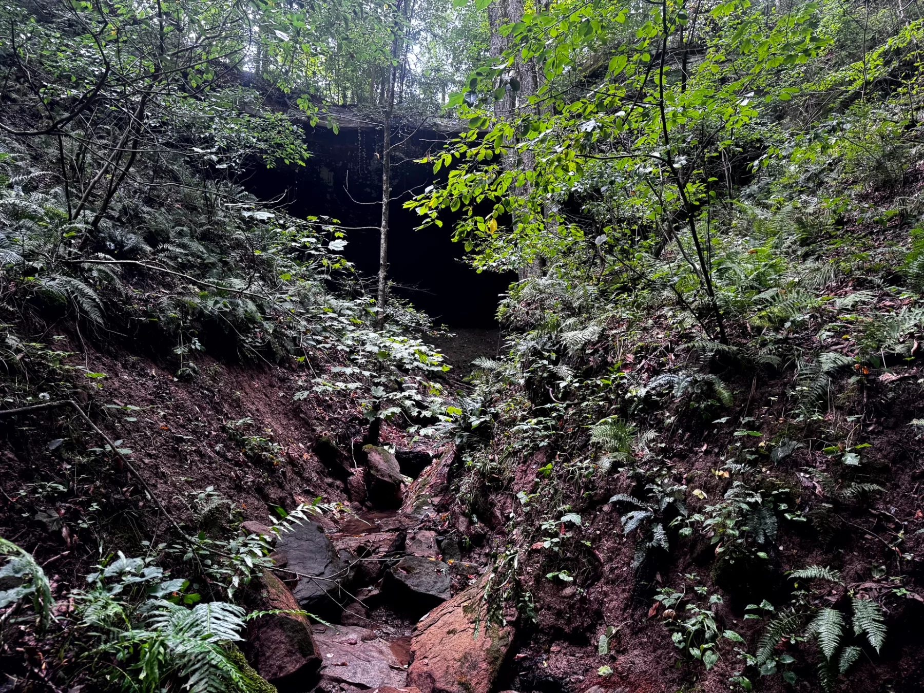 Tract 5 - Millstone Caves property photo 10