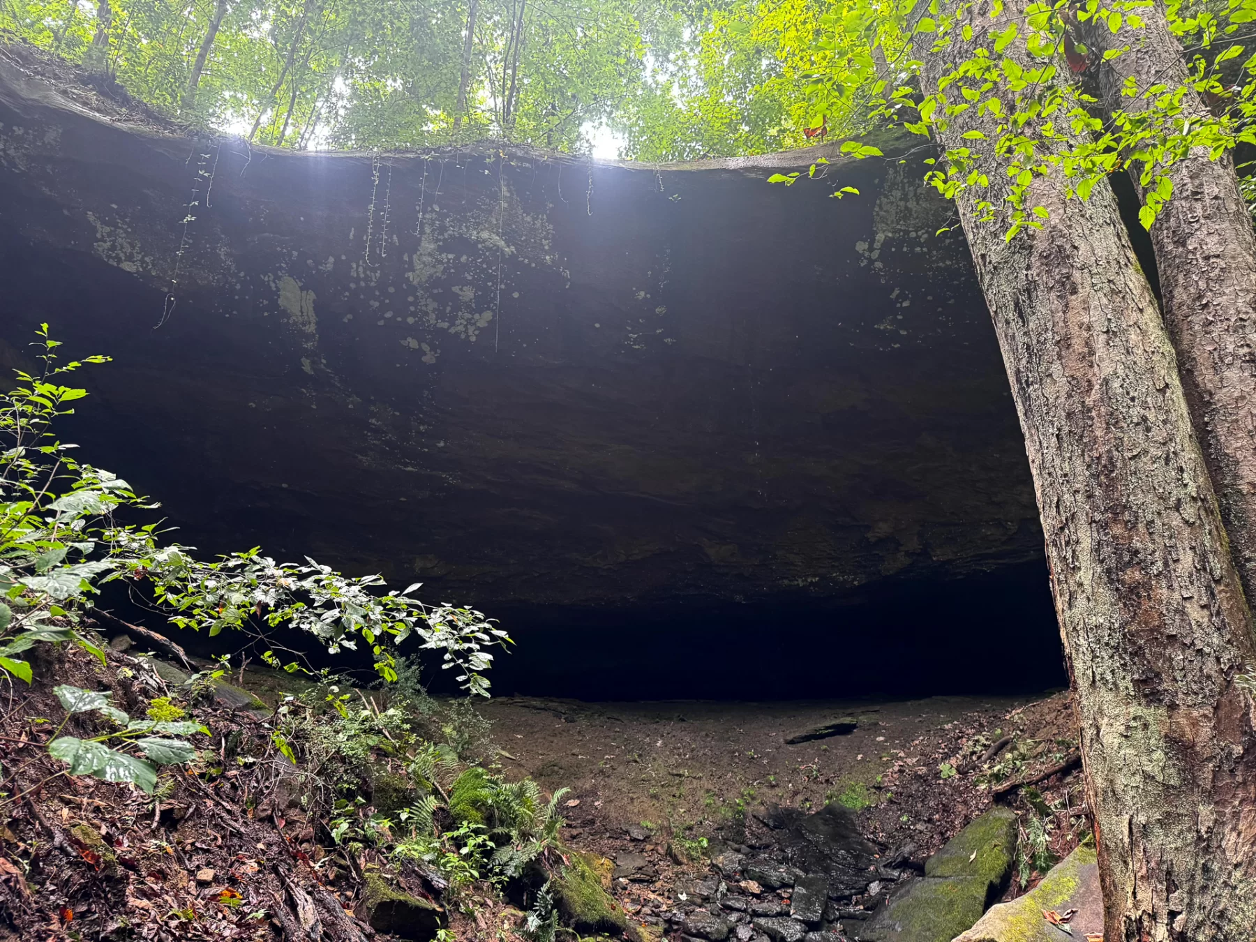 Tract 5 - Millstone Caves property photo 12