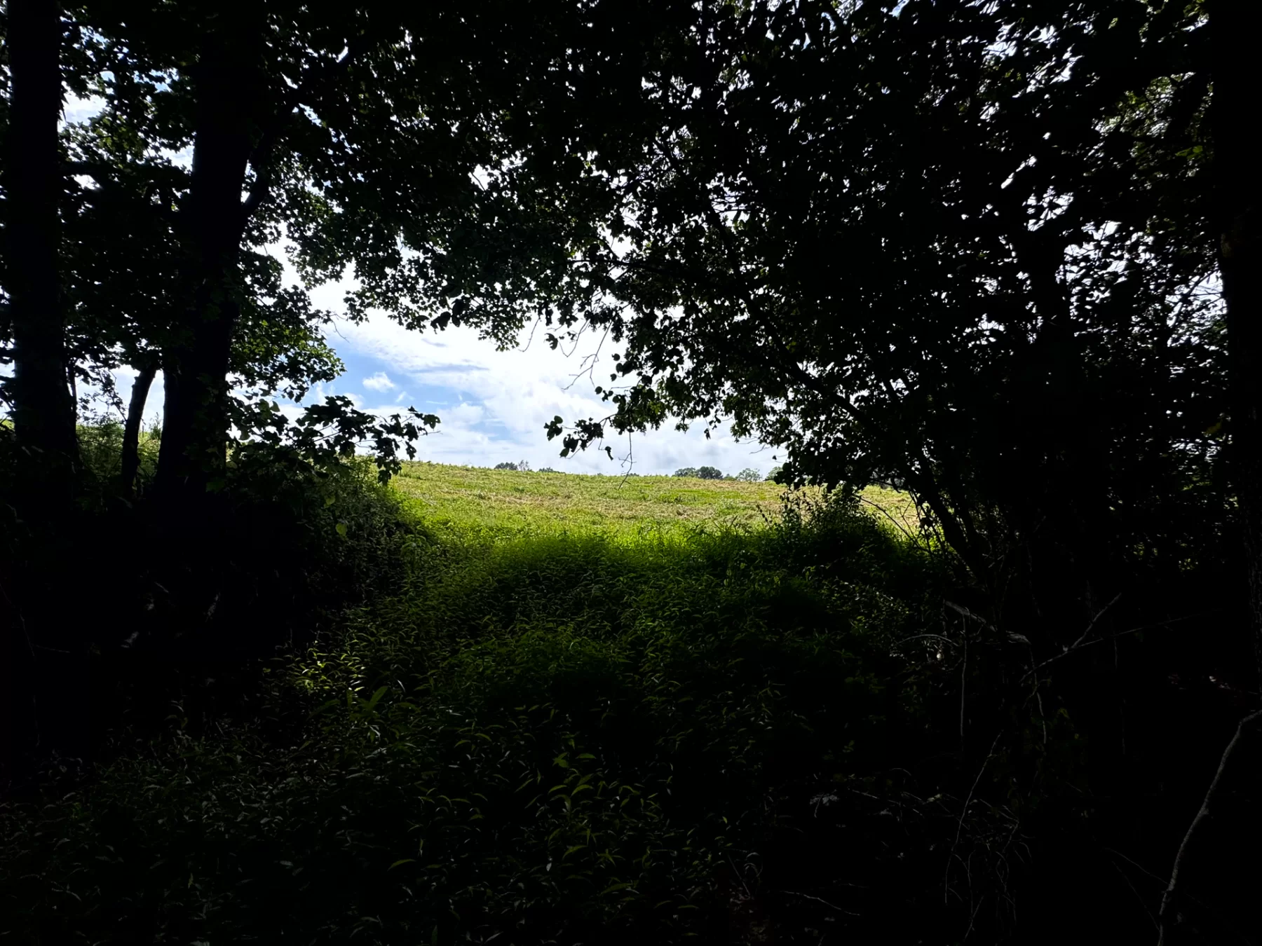 Tract 5 - Millstone Caves property photo 15