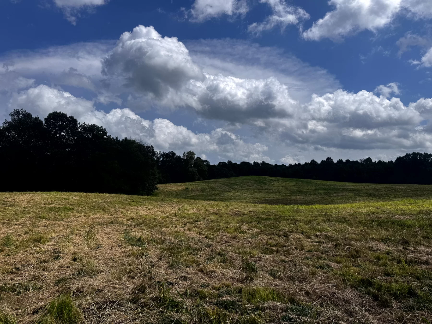 Tract 5 - Millstone Caves property photo 17
