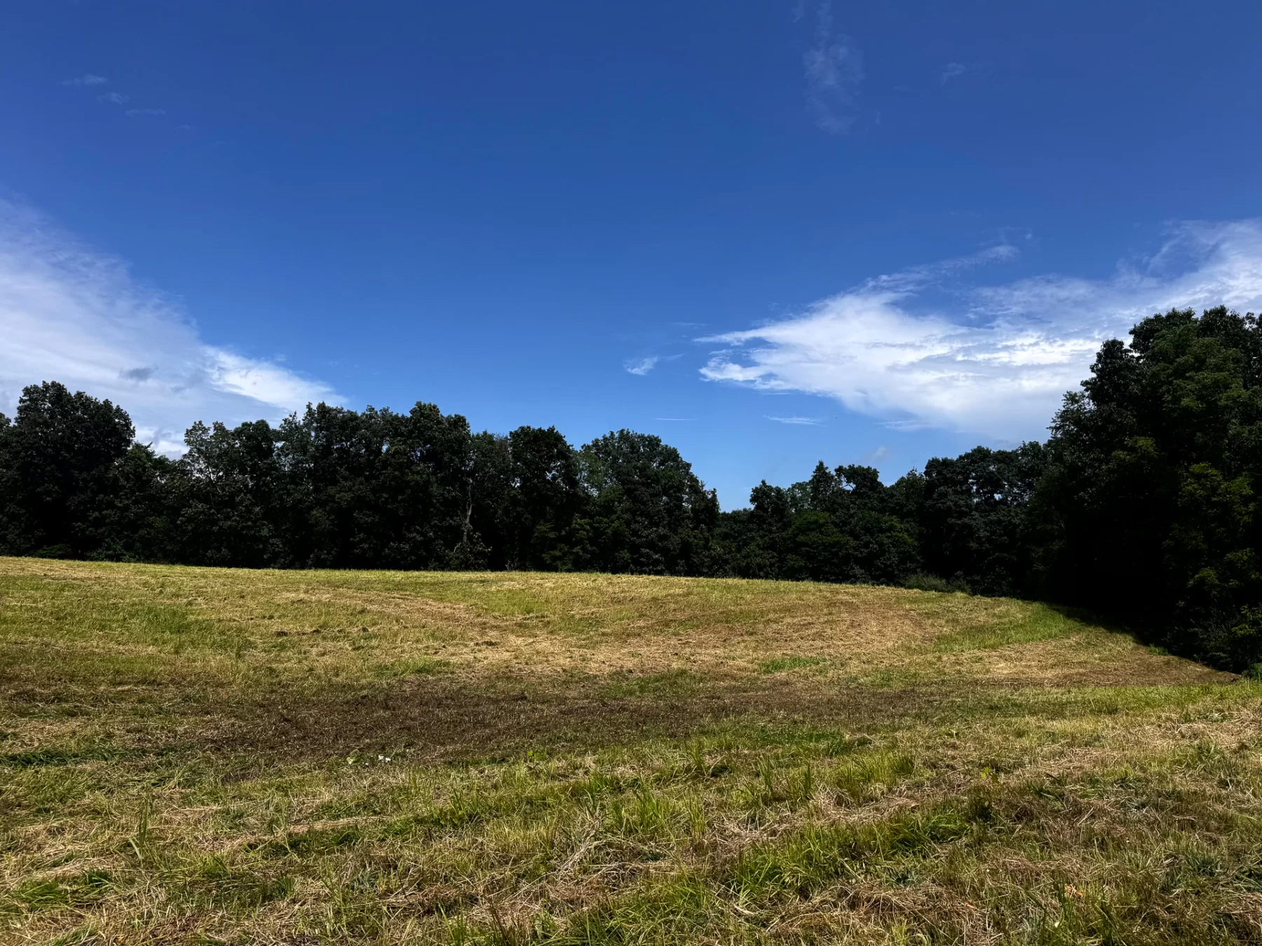 Tract 5 - Millstone Caves property photo 18