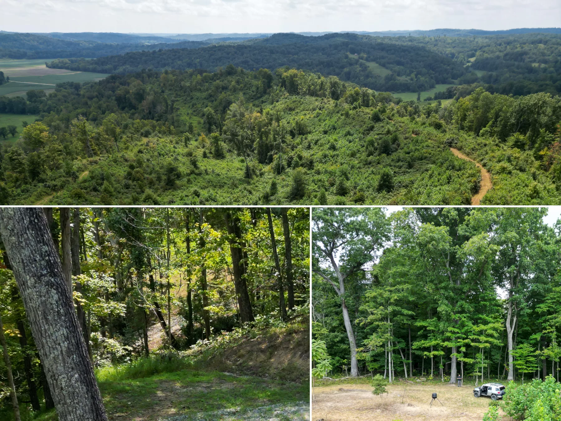 Tract 1 – Elkins Creek Rd property photo 1