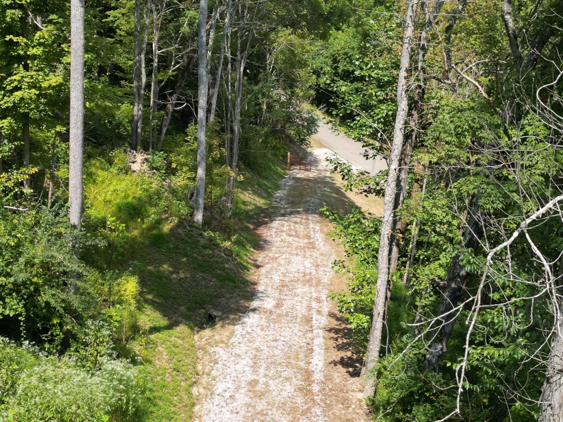 Tract 1 – Elkins Creek Rd property photo 5