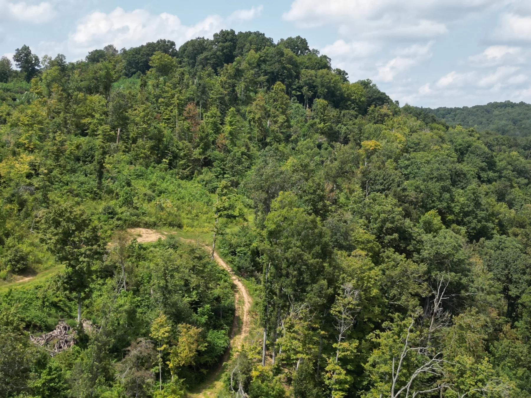 Tract 1 – Elkins Creek Rd property photo 7