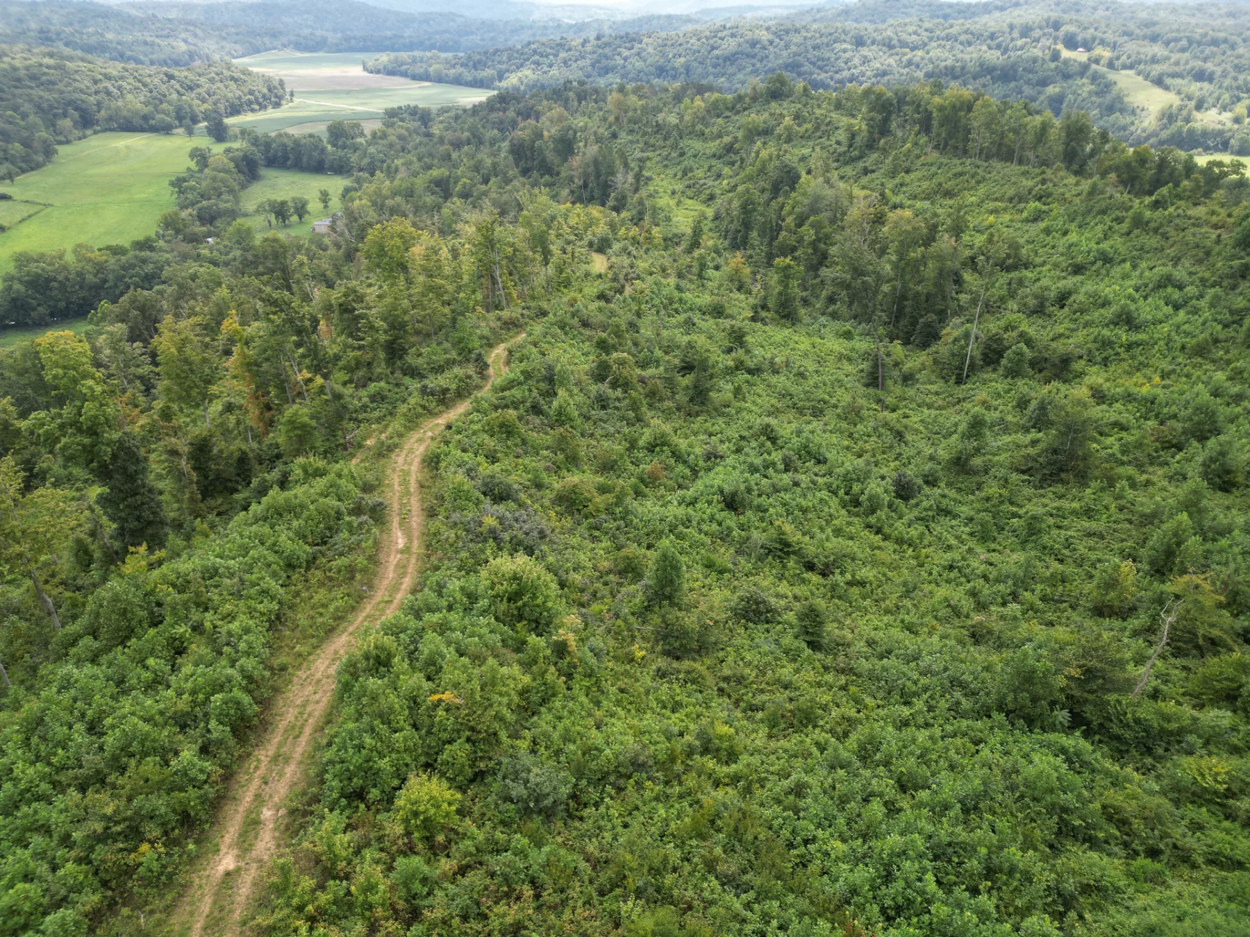 Tract 1 – Elkins Creek Rd property photo 15