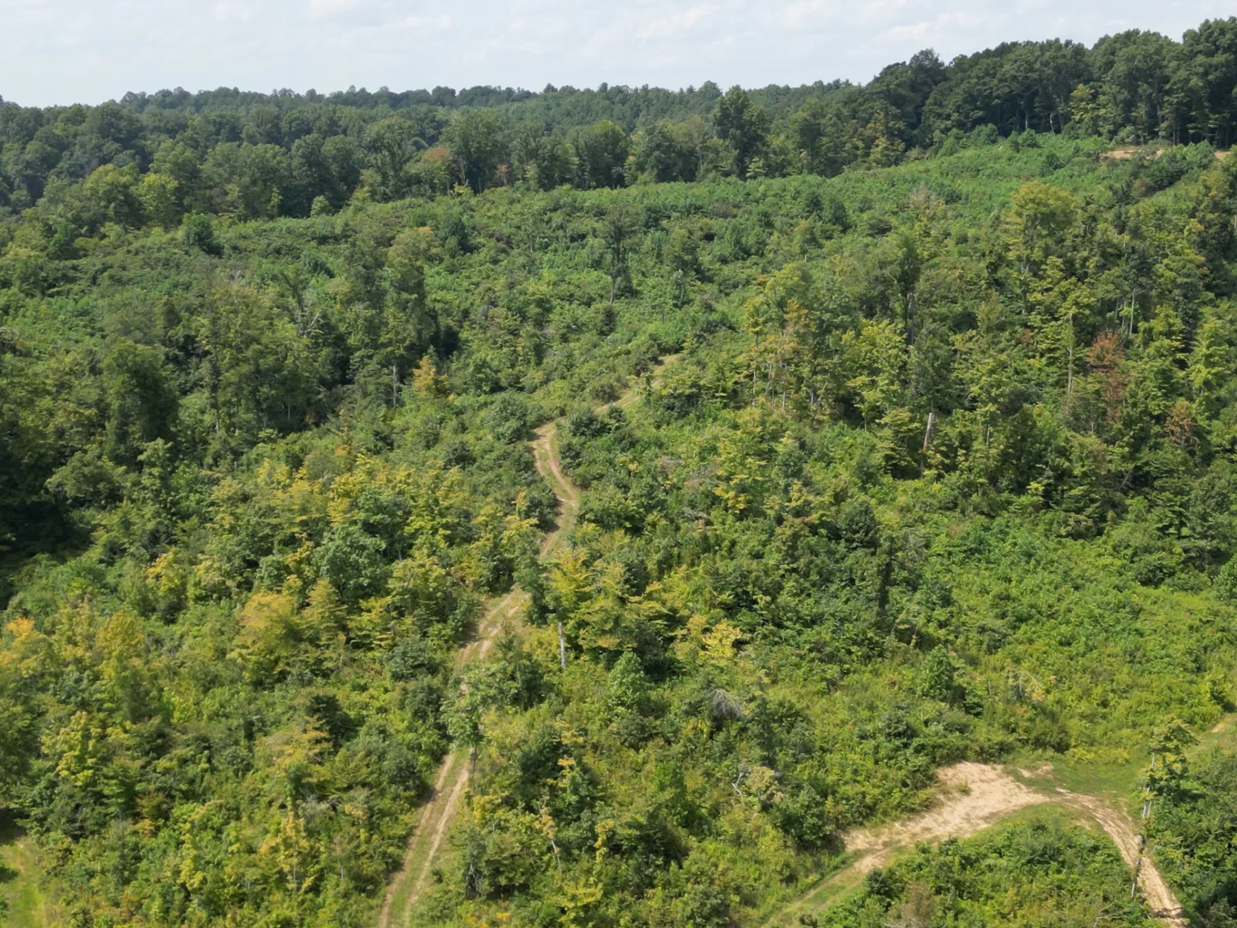 Tract 1 – Elkins Creek Rd property photo 17