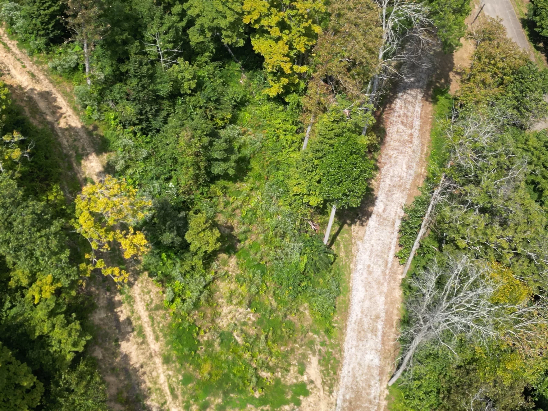 Tract 1 – Elkins Creek Rd property photo 21