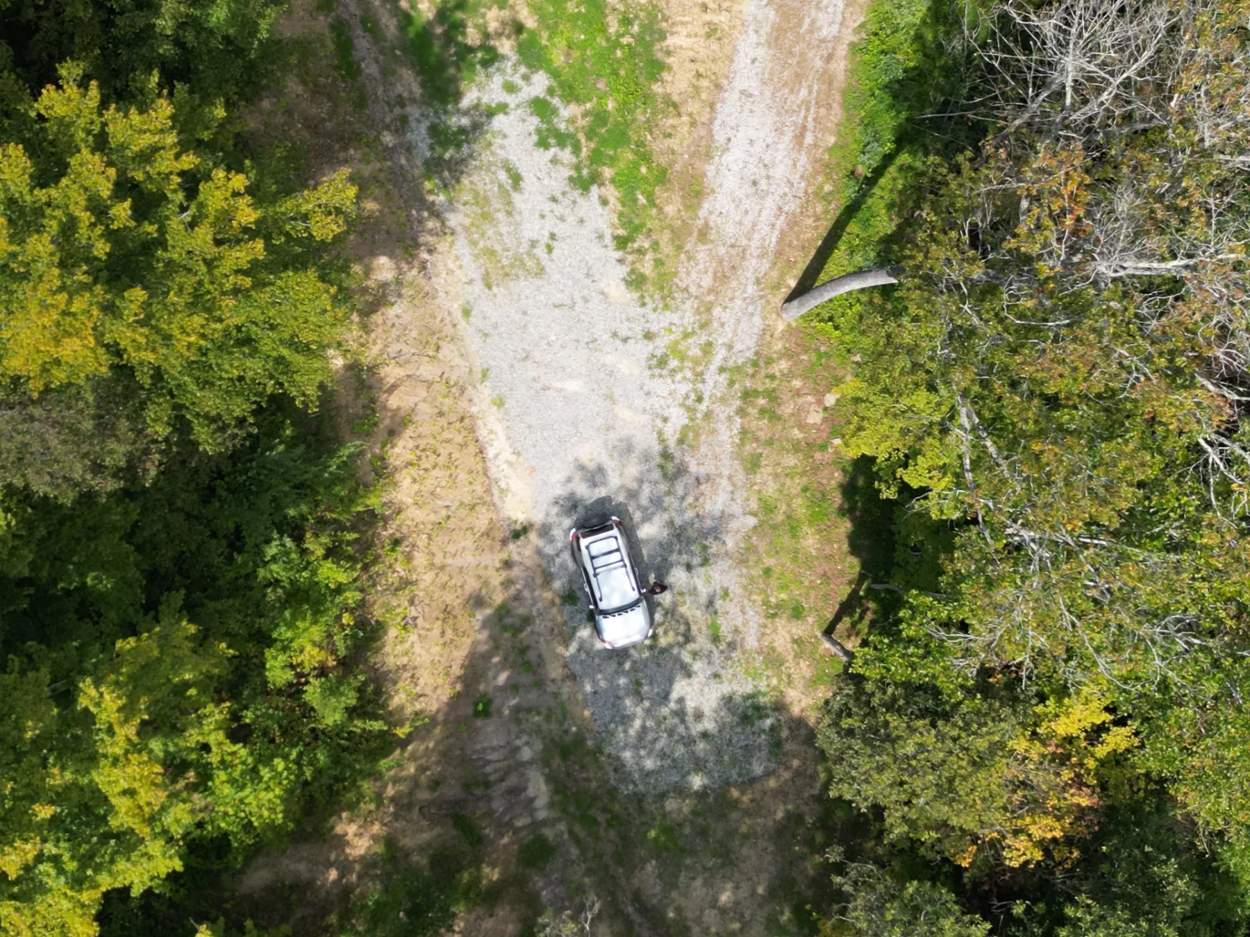 Tract 1 – Elkins Creek Rd property photo 22