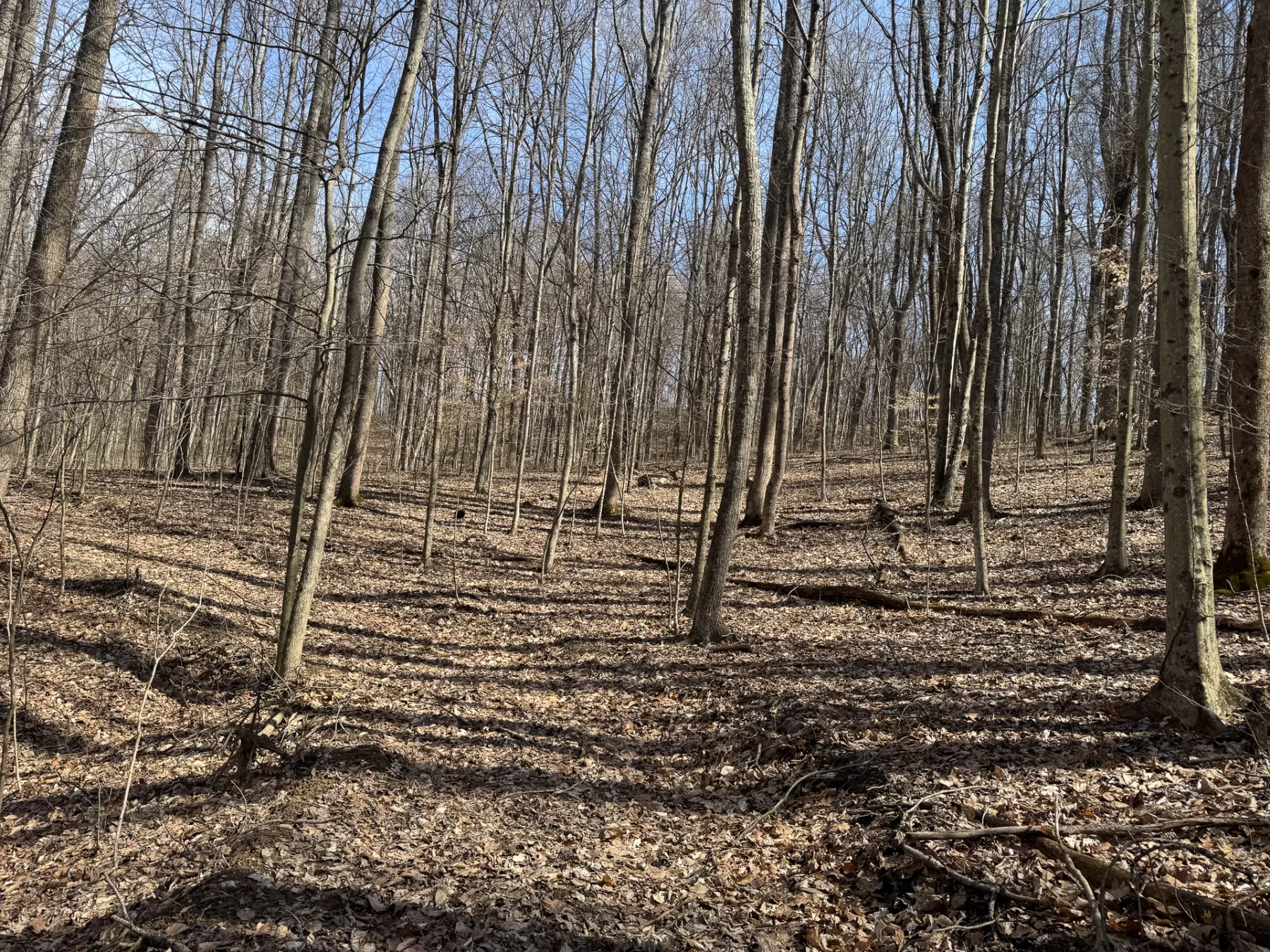 ATV Getaway at Shawnee Woods property photo 12