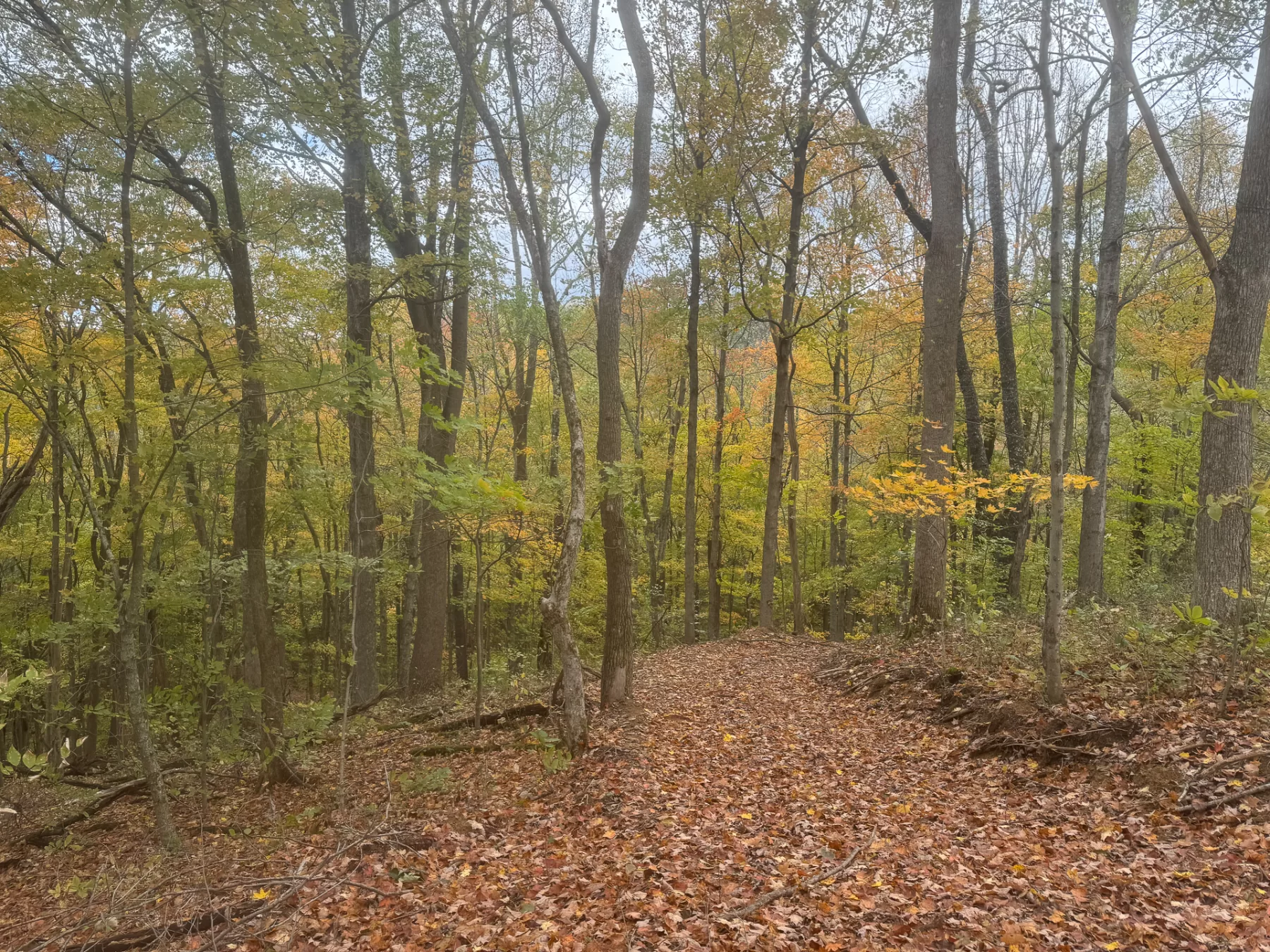 ATV Getaway at Shawnee Woods property photo 17