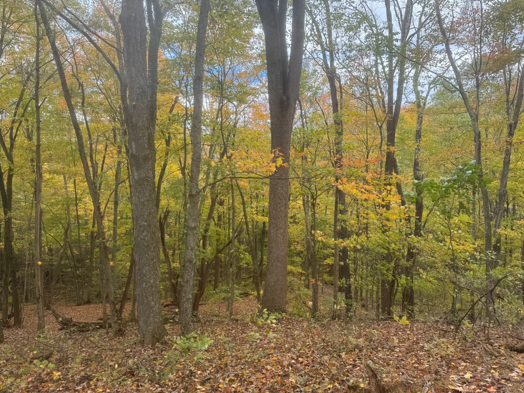 ATV Getaway at Shawnee Woods property photo 18