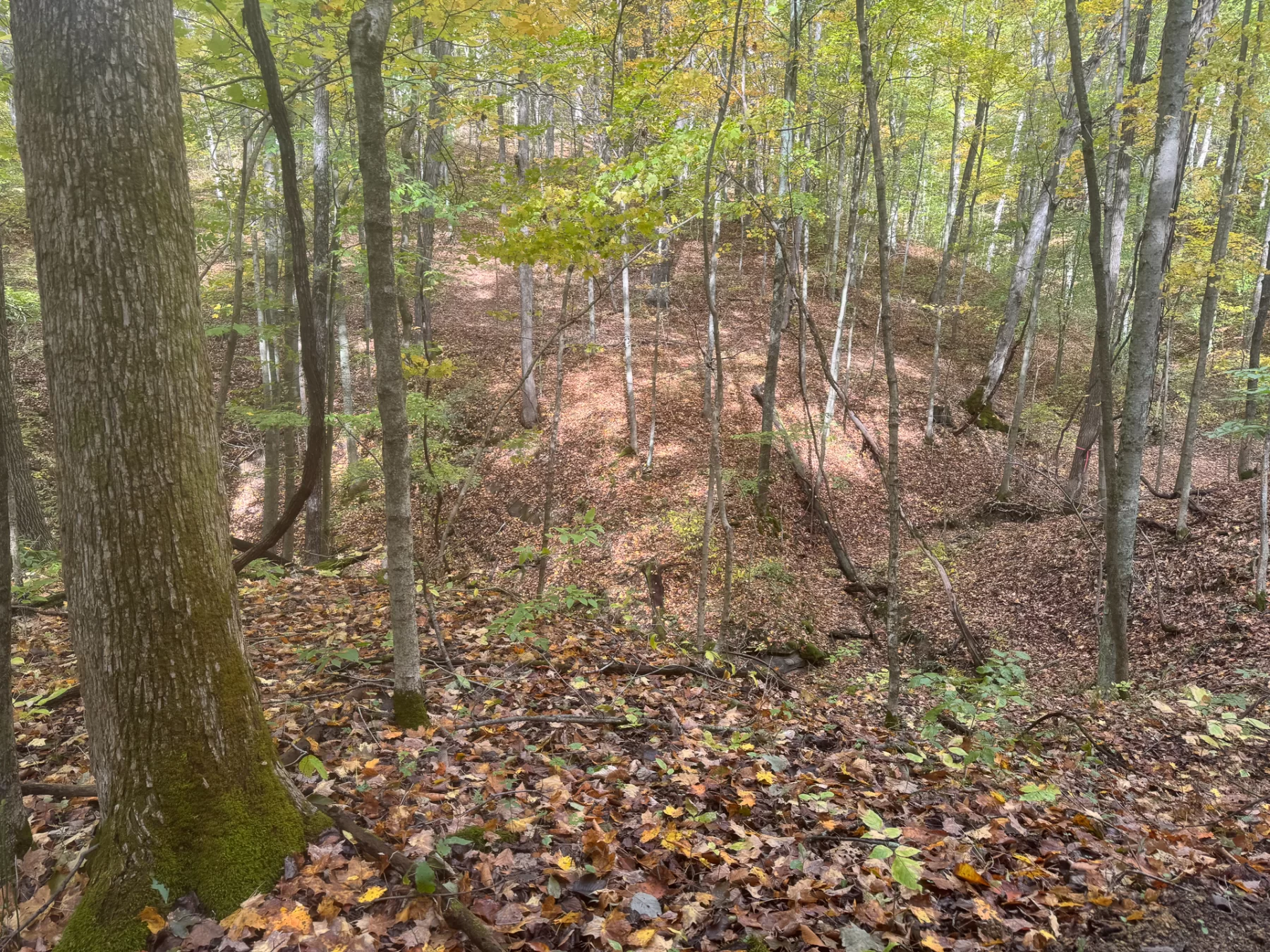 ATV Getaway at Shawnee Woods property photo 20