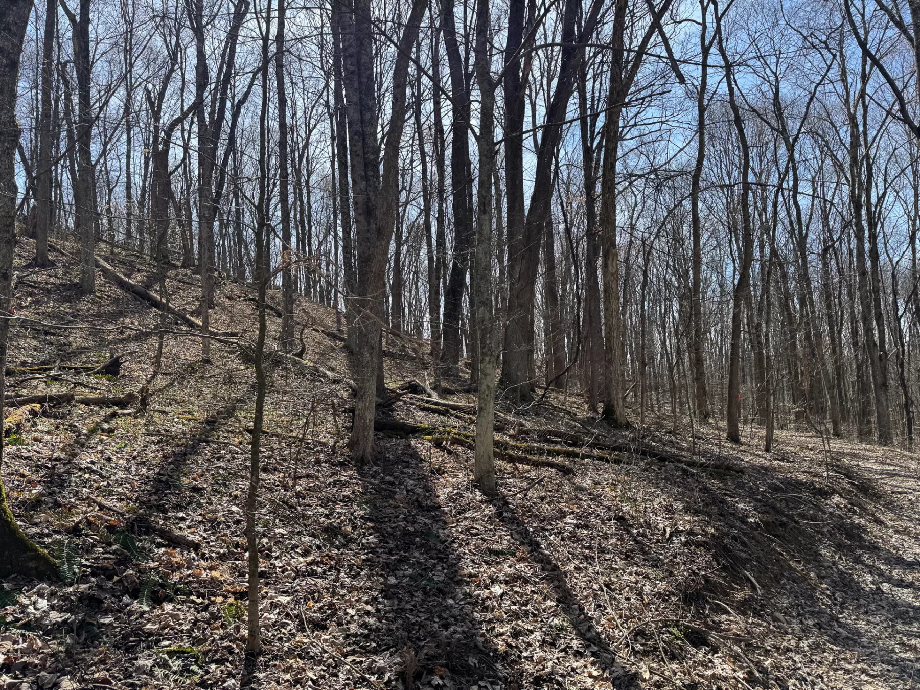 ATV Getaway at Shawnee Woods property photo 21
