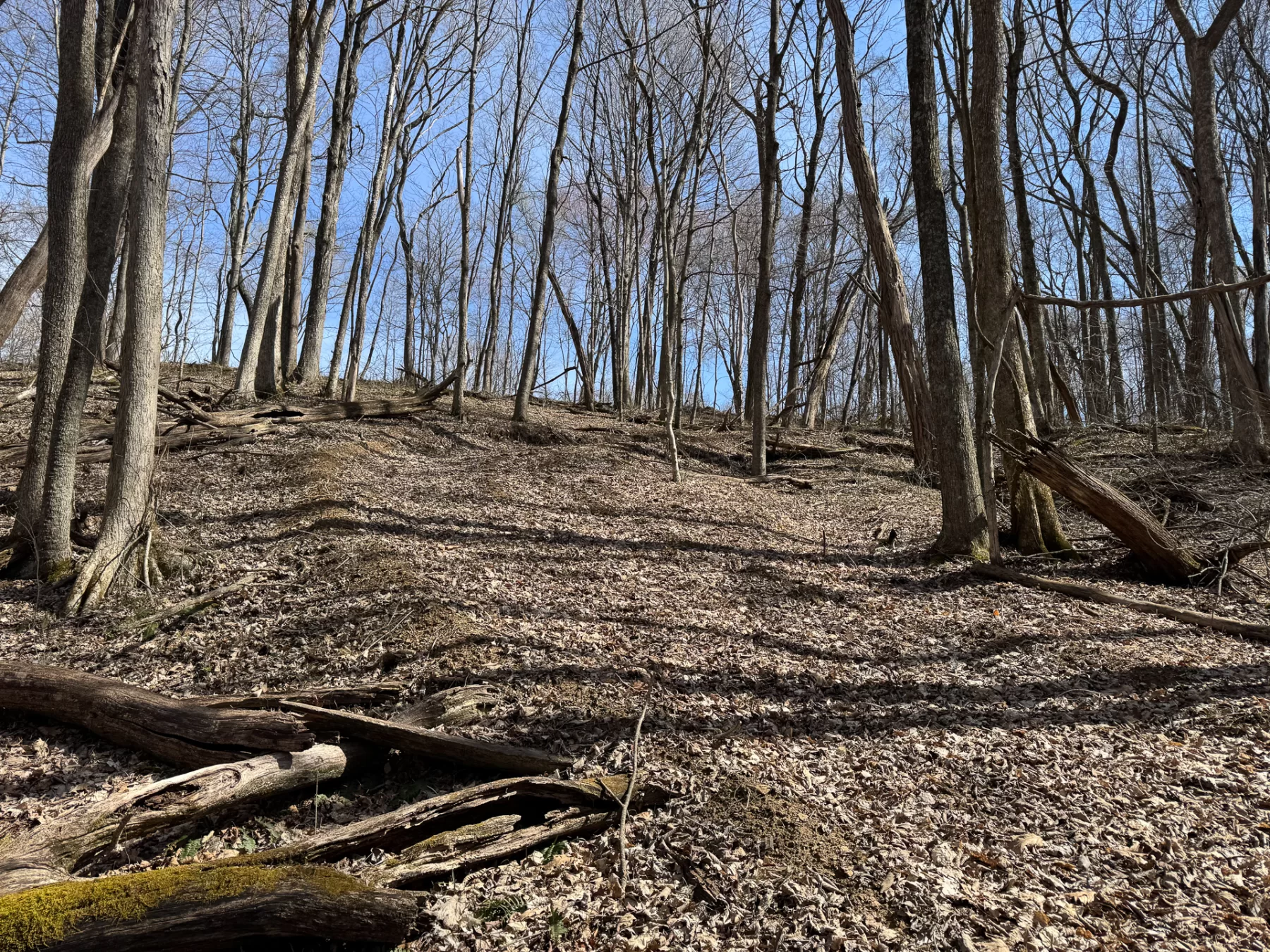 ATV Getaway at Shawnee Woods property photo 22