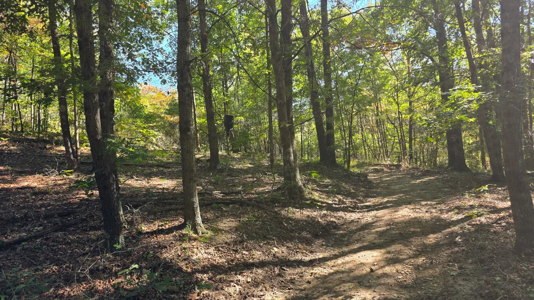 Keiser Woods – Tract 1 property photo 3
