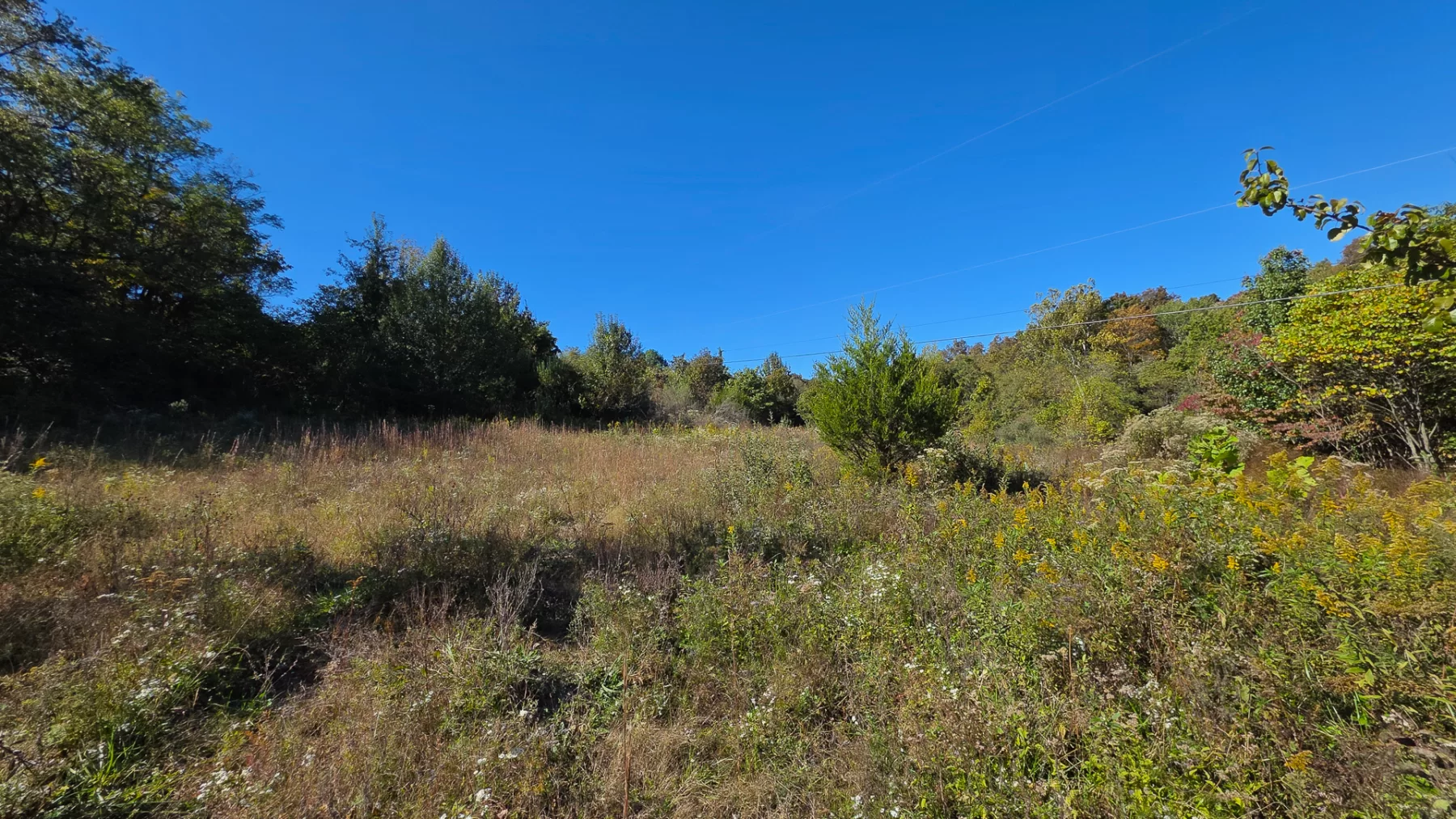 Keiser Woods – Tract 1 property photo 5