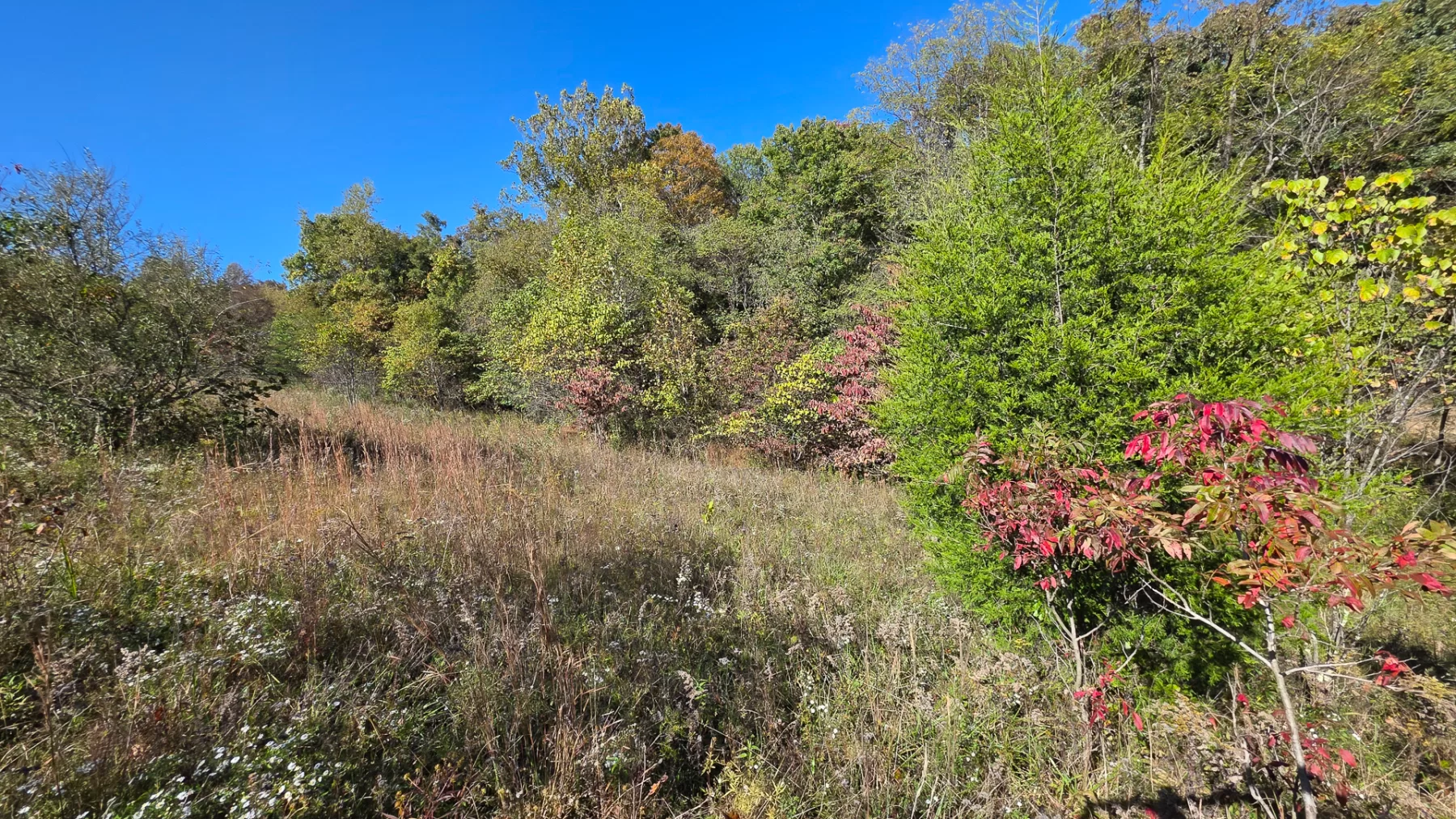 Keiser Woods – Tract 1 property photo 7