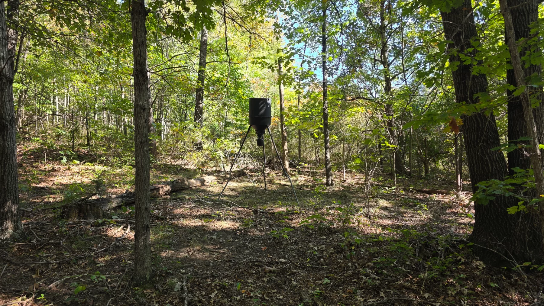 Keiser Woods – Tract 1 property photo 10