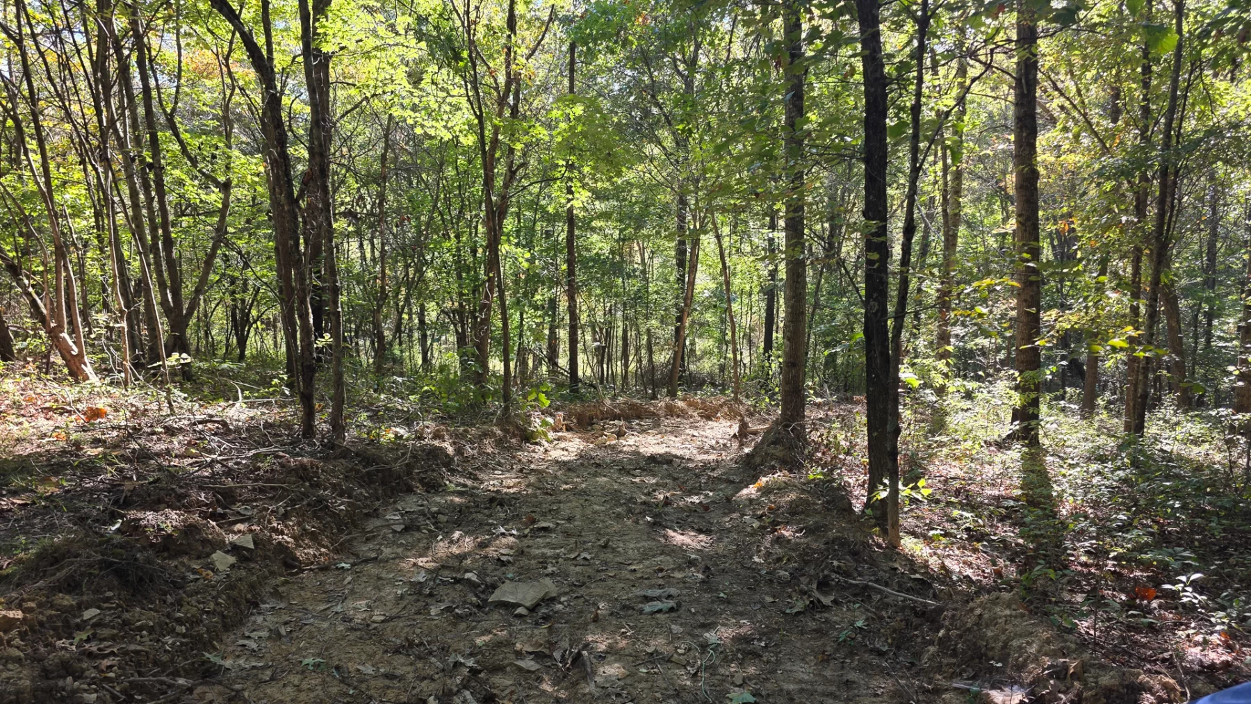 Keiser Woods – Tract 1 property photo 12
