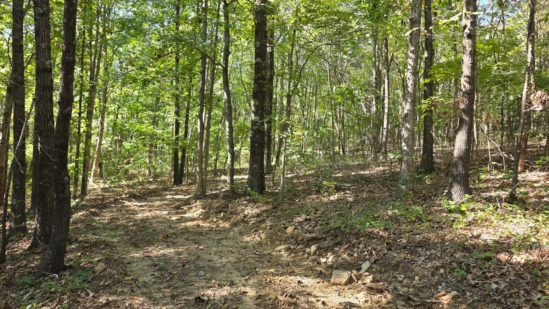 Keiser Woods – Tract 1 property photo 18
