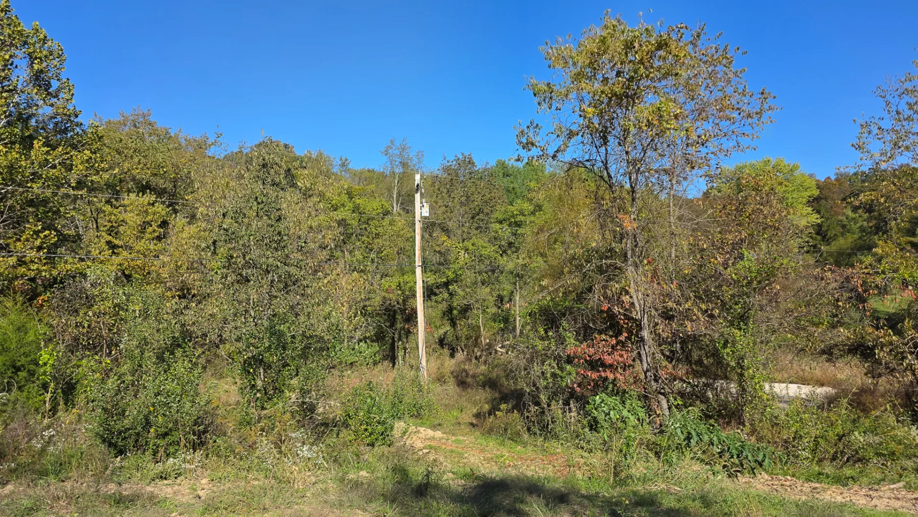 Keiser Woods – Tract 1 property photo 25