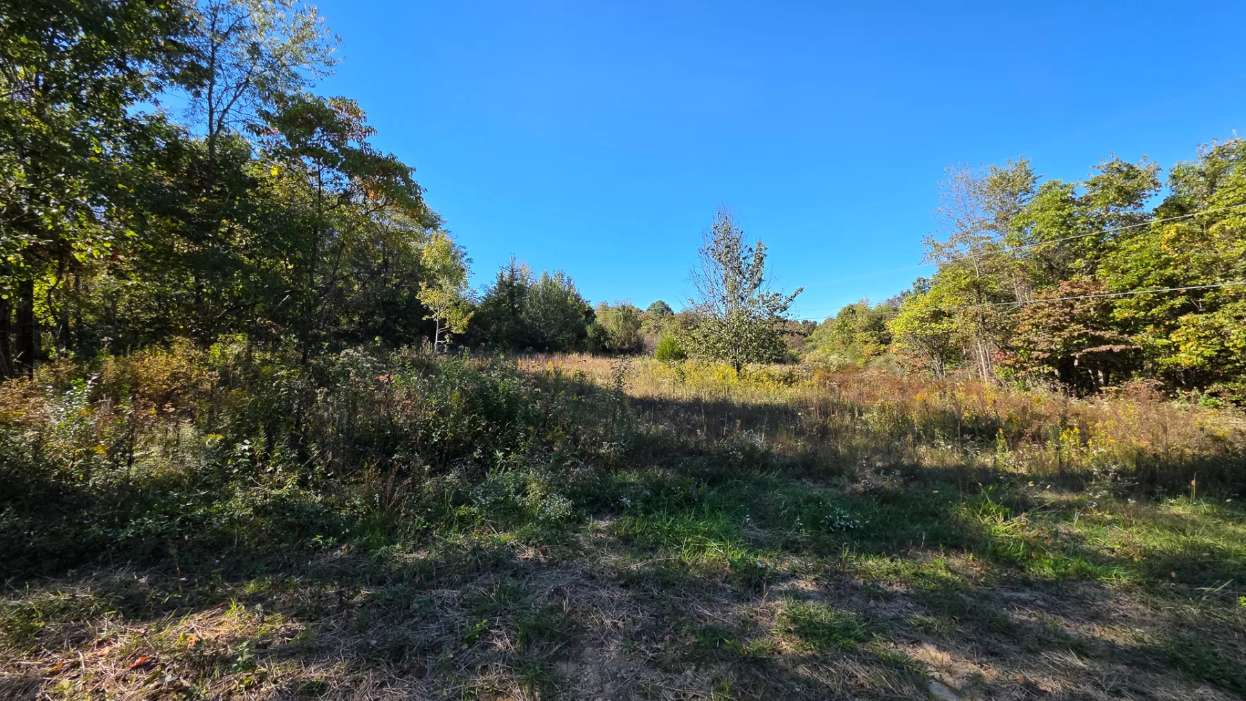 Keiser Woods – Tract 1 property photo 26