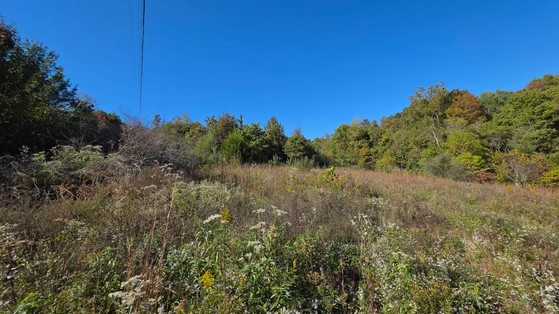Keiser Woods – Tract 1 property photo 27