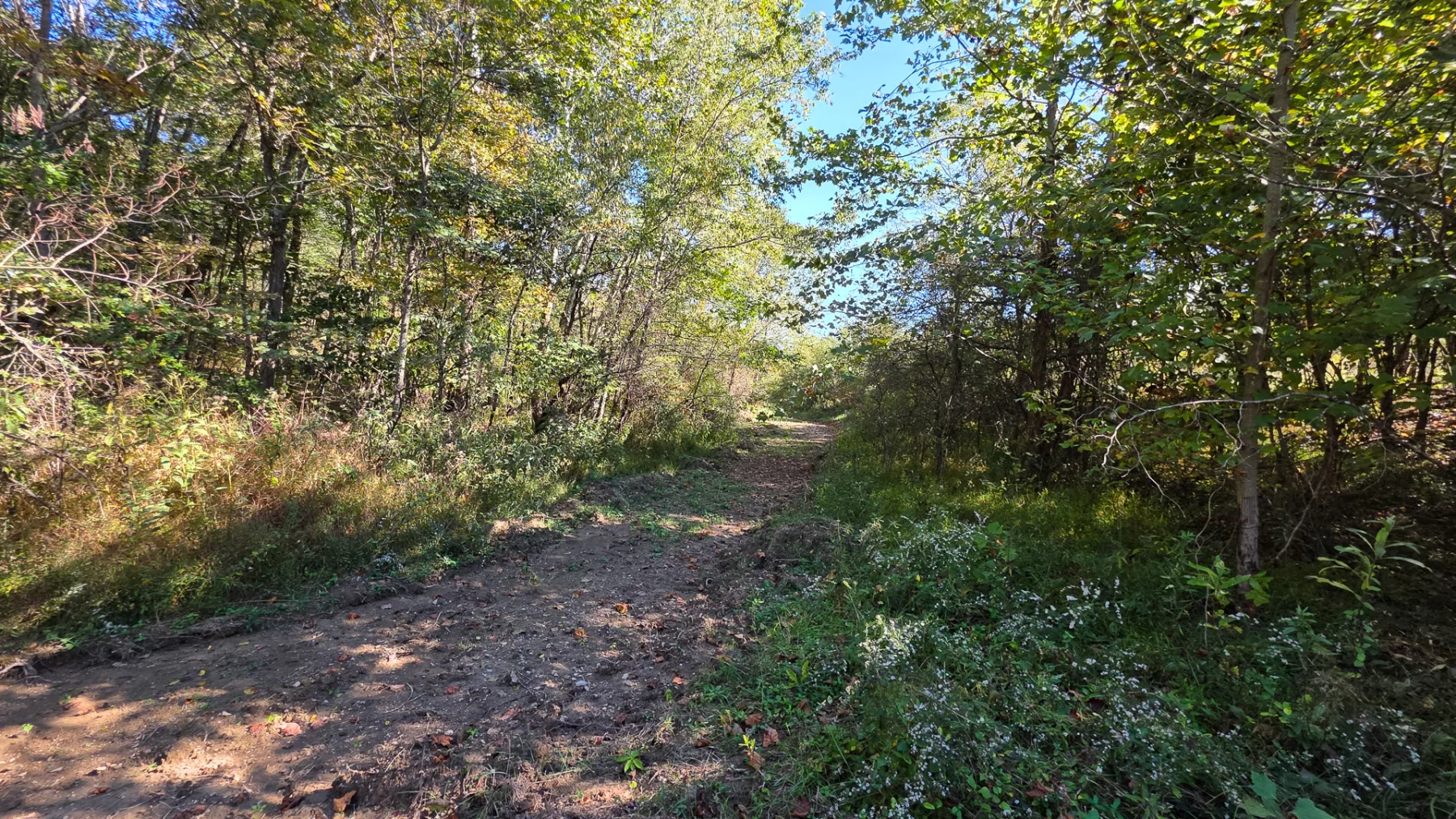 Keiser Woods – Tract 1 property photo 29