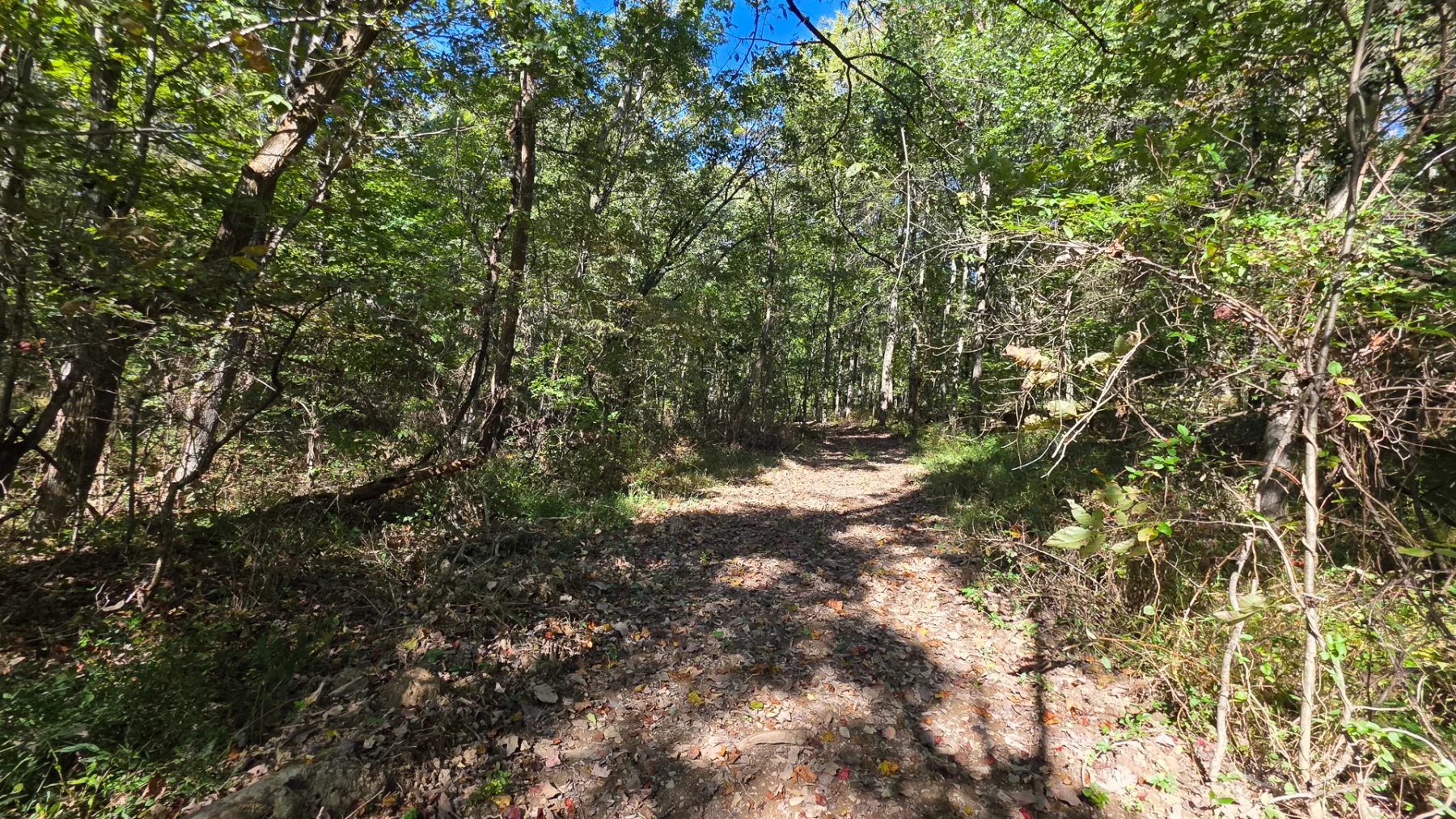 Keiser Woods – Tract 1 property photo 30