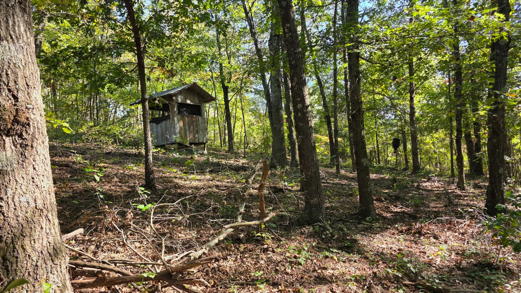 Keiser Woods – Tract 1 property photo 32