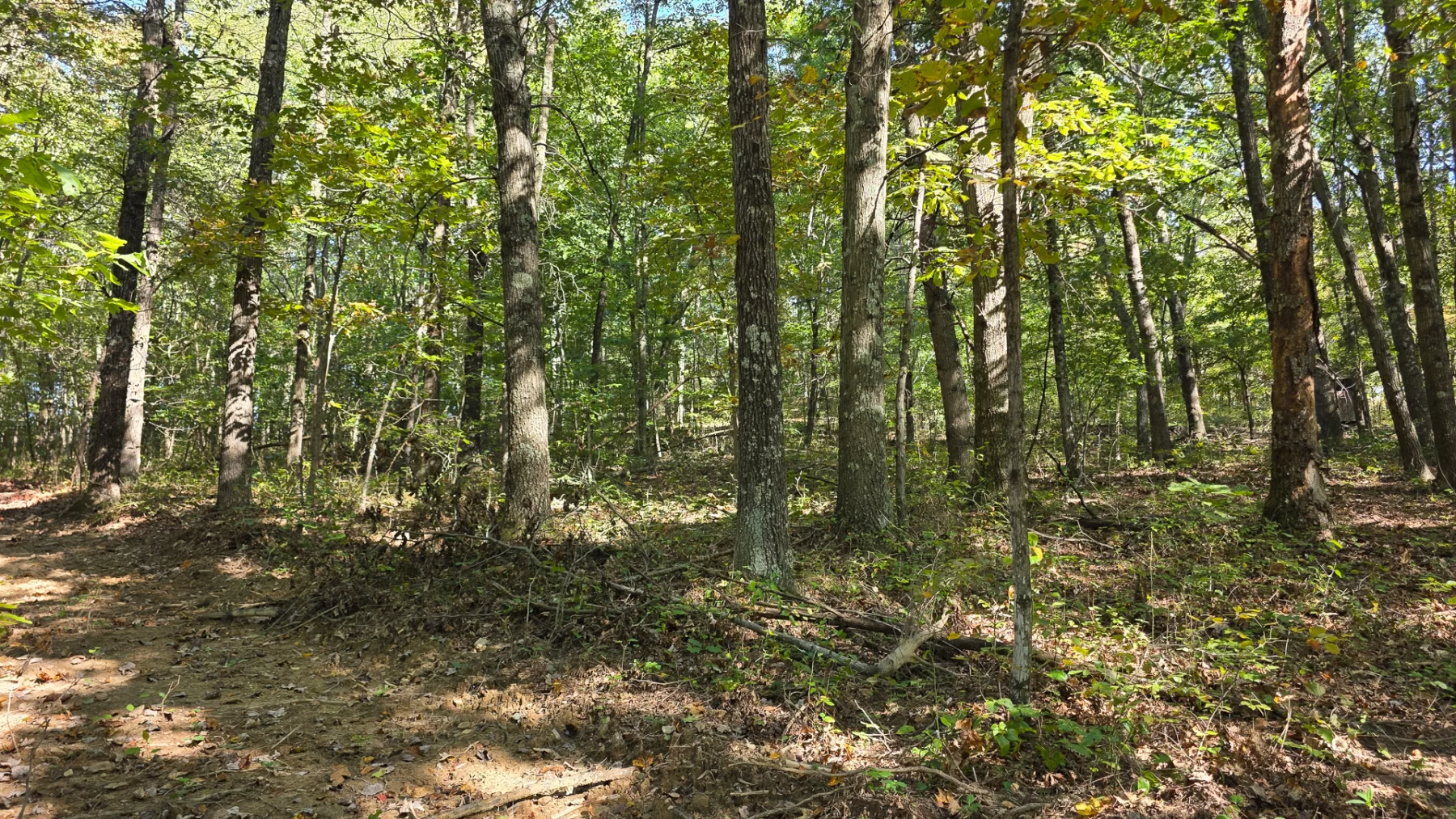 Keiser Woods – Tract 1 property photo 33